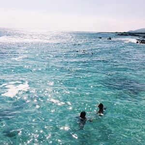 Meet your Posher, Tanea